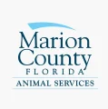 marion-county-animal-services