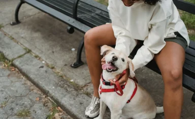 woman-petting-dog-park-bench